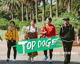 六色网《TOP DOG》免费在线观看