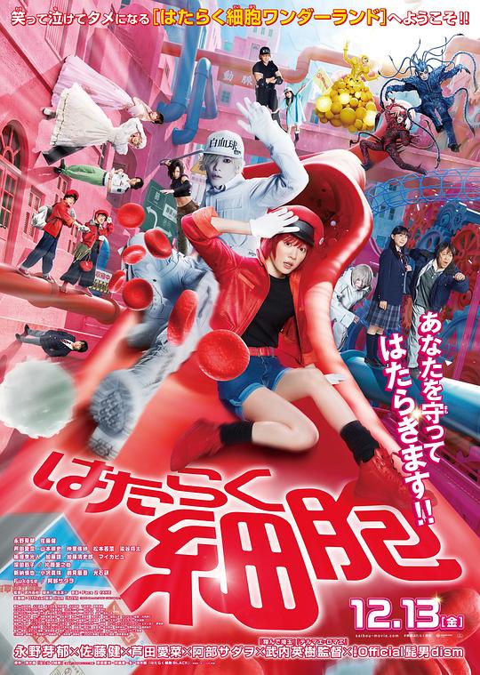 六九色堂《工作细胞 真人版 はたらく細胞》免费在线观看