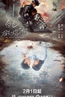 冈本视频《白色橄榄树》免费在线观看